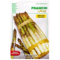 Franchi Sementi Asparagus Argenteuil